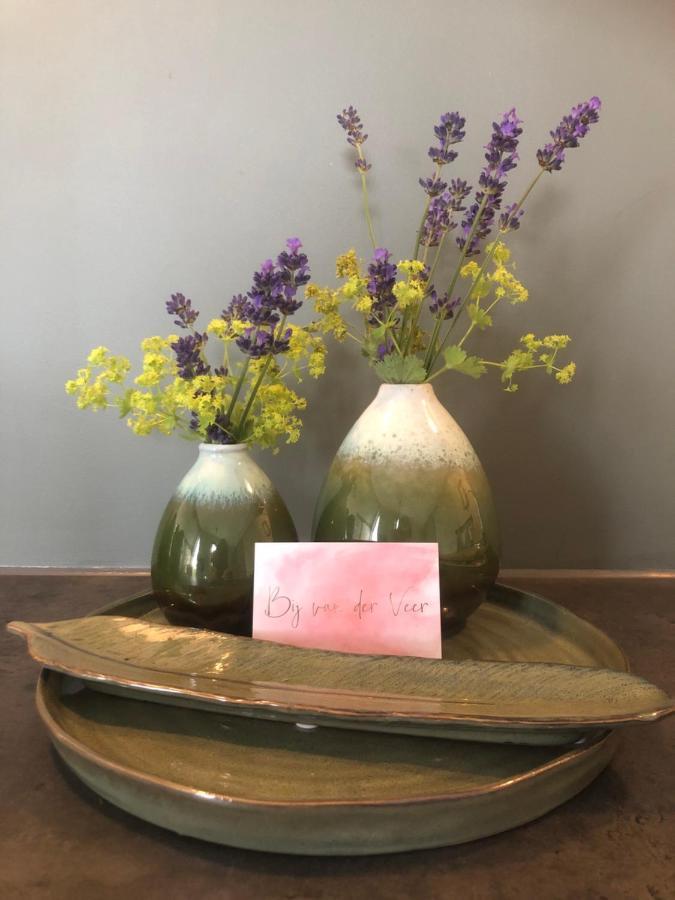 Bij Van Der Veer 줄리아나도르프 외부 사진
